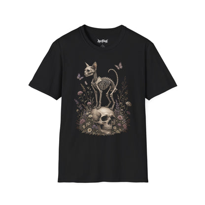 Cat Skeleton